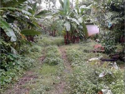 residential land, kochi, chendamangalam, image