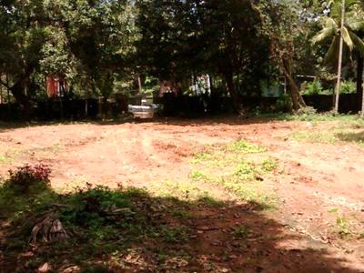 residential land, kochi, chendamangalam, image