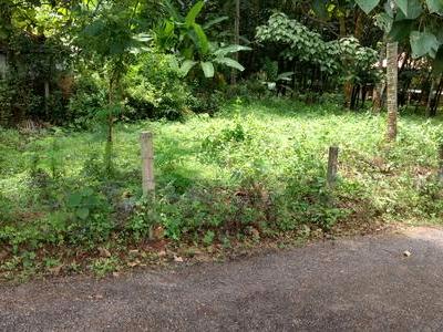 residential land, kochi, karimughal, image