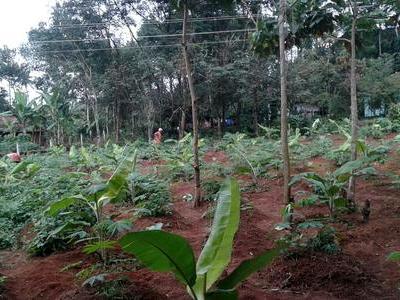 residential land, kochi, karimughal, image