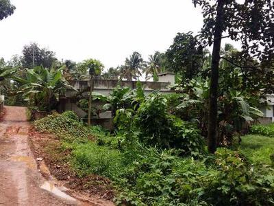 residential land, kochi, kuzhivelippady, image