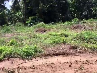 residential land, kochi, kodanad, image