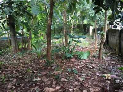 residential land, kochi, koonamthai, image