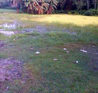 residential land, kolkata, uluberia, image