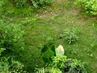 residential land, kolkata, duttapukur, image