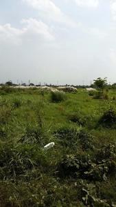 , Kolkata, image