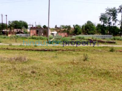 1 RK , Lucknow, image