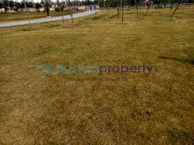 residential land, lucknow, khujauli, image