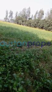 1 RK , Lucknow, image