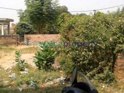 residential land, lucknow, nilmatha, image