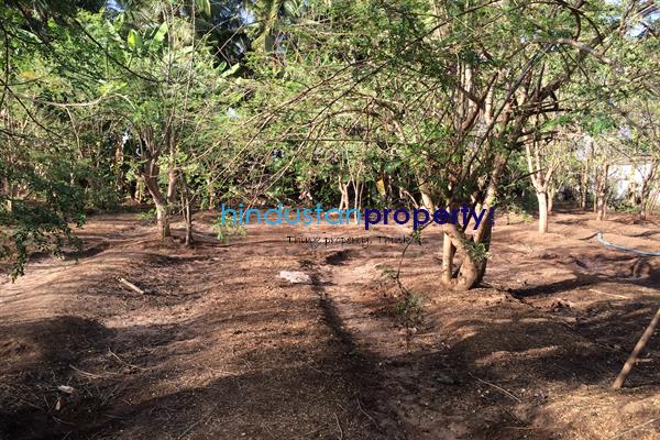 Property for SALE in Vasai (East). Agricultural/Farm Land in Vasai (East) for SALE. Agricultural/Farm Land in Vasai (East) at hindustanproperty.com.