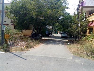 , Mysore, image