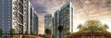 1 BHK , Pune, image