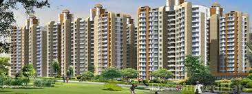 1 BHK , Pune, image