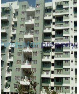 1 BHK , Pune, image
