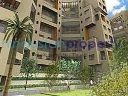 flat / apartment, pune, kalas, image