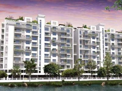 flat / apartment, raipur, new rajendre nagar, image