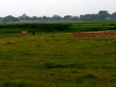 residential land, ranchi, hardag, image